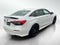 2023 Honda Civic Si