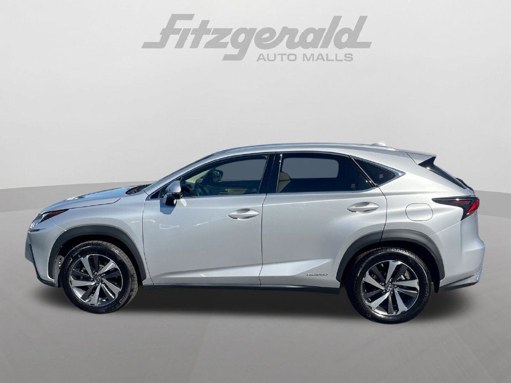 2019 Lexus NX 300h